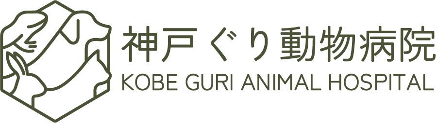 神戸ぐり動物病院