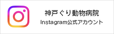 インスタグラム