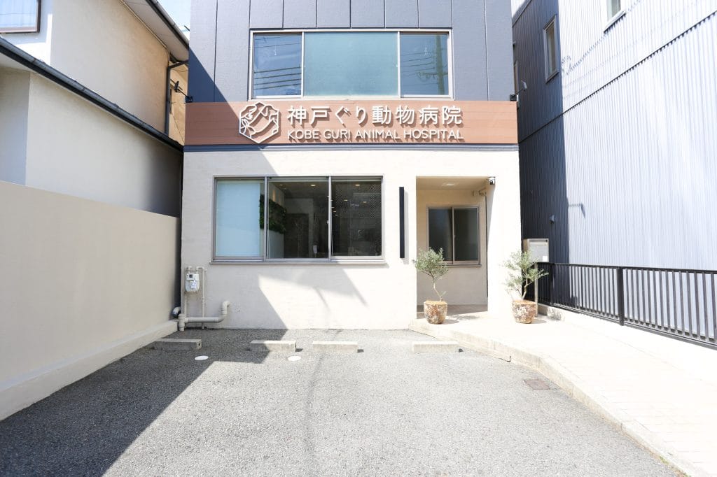 病院前の駐車場