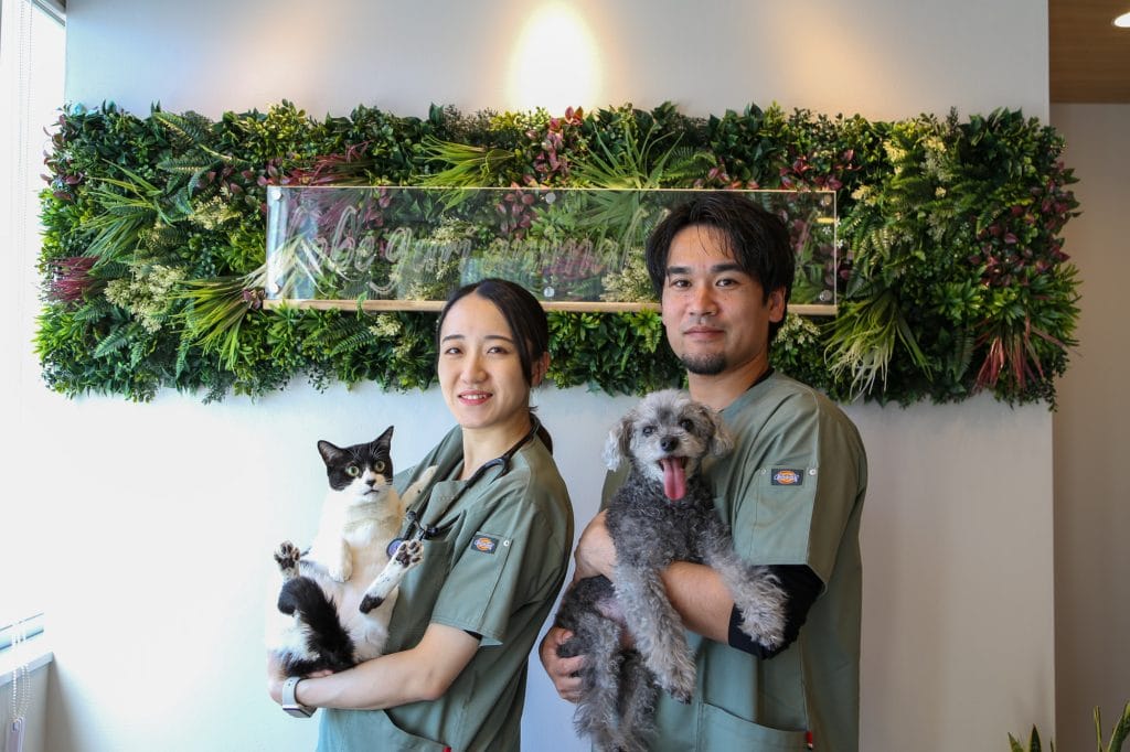 確かな医療、つながる安心。