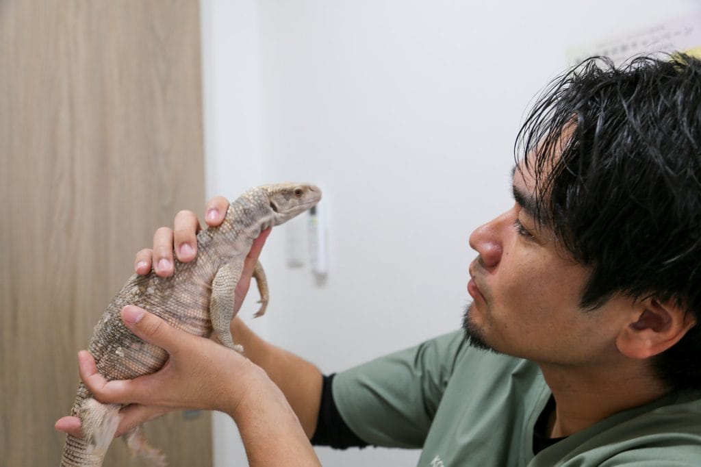 エキゾチックアニマルの診療
