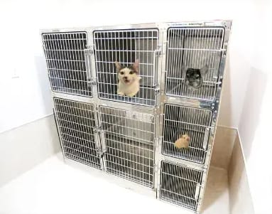 ねこちゃんルーム
